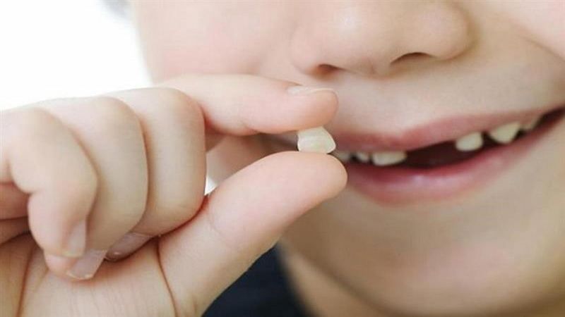 Th&ocirc;ng điệp về những giấc mộng bị rụng răng&nbsp;