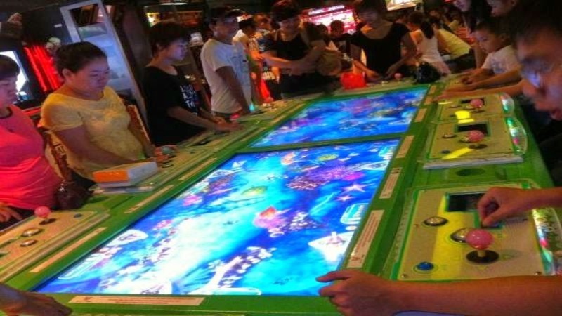 Đa số anh em thường mắc phải lỗi l&agrave; lu&ocirc;n bỏ qua những con c&aacute; nhỏ